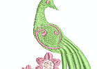 02 peacock